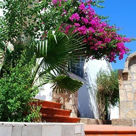 Hotell Theofilos